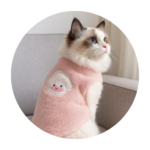 Pets Clothes