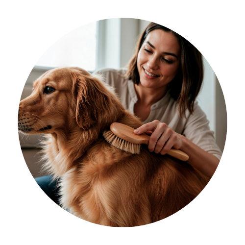 Pet Care