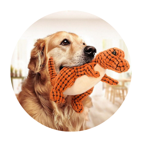 Pets Toys